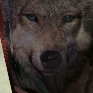 Meet your Posher, Cheryl